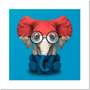 Baby Elephant with Glasses and Dutch Flag Posters and Art